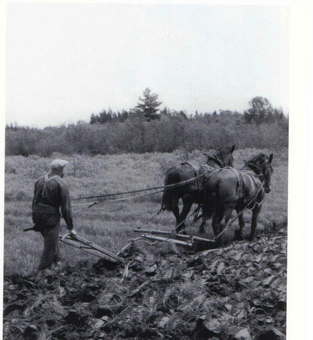 background essay farmers in the gilded age